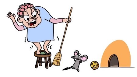 子どもの英語 Com 子どもの英語 Com